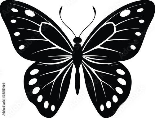 butterfly  silhouette on white background.