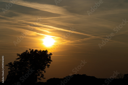 Obraz na płótnie sole al tramonto con cielo nuvoloso da un ambiente di campagna con varie sagome scure di alberi in controluce w salonie