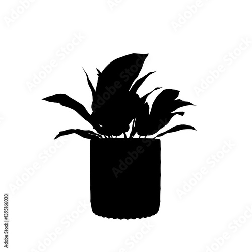 silhouette of a Plant
