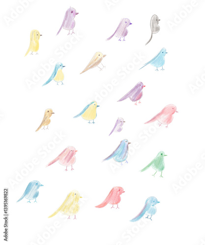 Set of colorful birds pencil illustration