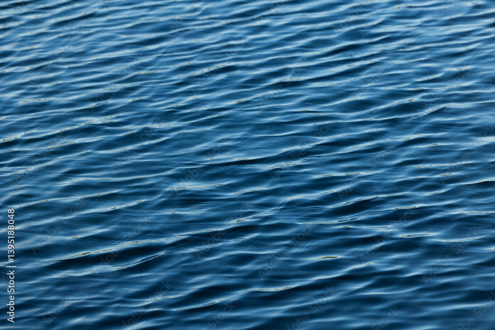 superficie d'acqua di mare o fiume tranquilla e di colore blu, con sfumature di azzurro, increspata con piccole onde