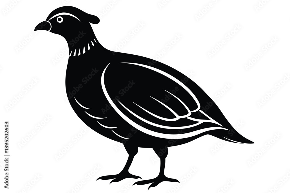 Fototapeta premium Elegant Black Silhouette Partridge Bird Standing Isolated on White Background, Detailed Feathers