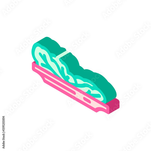 green leafy vegetable diarrhea isometric icon vector illustration