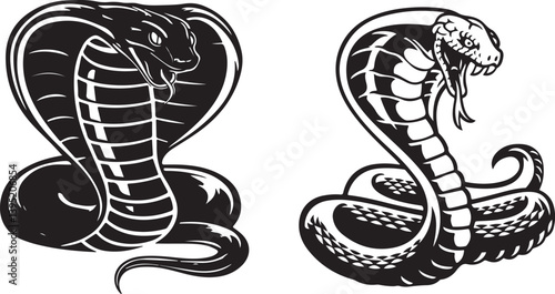 Regal Fang – King Cobra Snake Vector
A striking fusion of reptilian grace and menace, this vector design brings out the cobra’s dominance and mystique, perfect for premium ink or apparel.