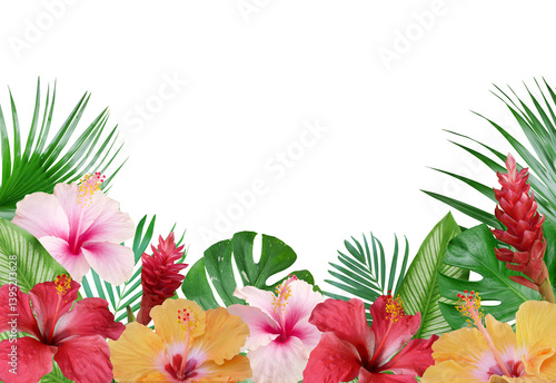 Tropical flowers arrangement hibiscus flowers, red ginger flowers with exotic leaves isolated on transparent background