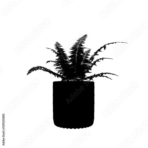 silhouette of a Plant