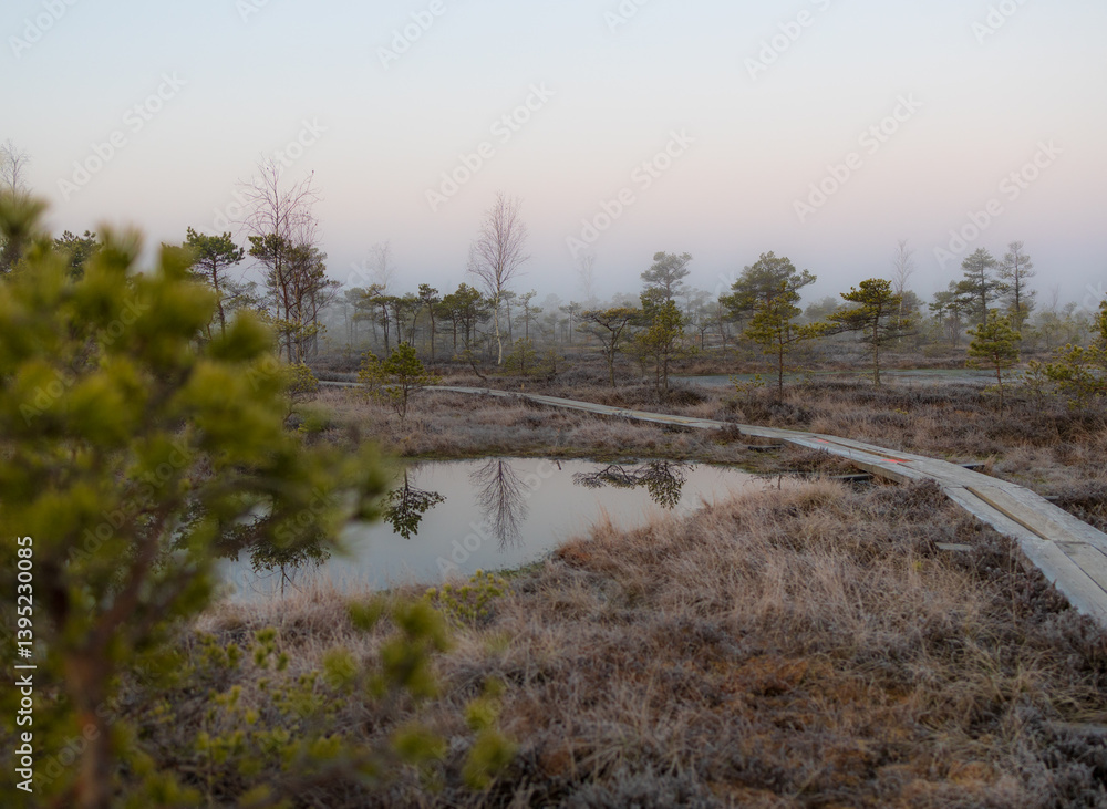 Sunrise, Misty morning, Foggy landscape, Swamp, Marshland, Wetlands, Nature, Golden hour, Moody, Atmospheric, Ethereal, Tranquil, Serene, Reflection, Water, Stillness, Dawn, Early morning, Sunlight Sunrise, Misty morning, Foggy landscape, Swamp, Marshland, Wetlands, Nature, Golden hour, Moody, Atmospheric, Ethereal, Tranquil, Serene, Reflection, Water, Stillness, Dawn, Early morning, Sunlight