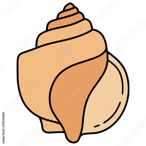 miter shell animal sea marine life fauna flat color vector illustration template design
