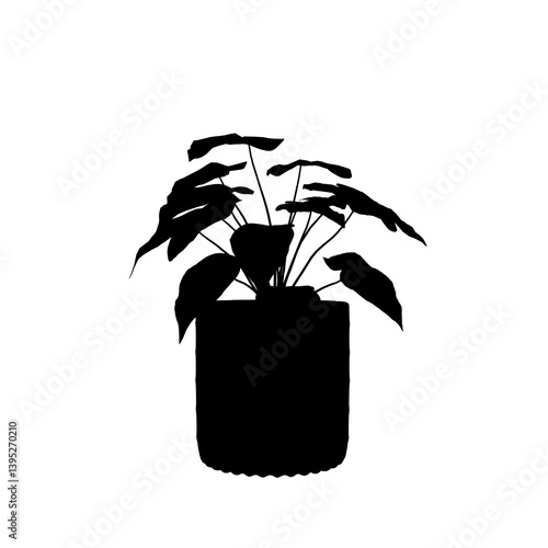 silhouette of a Plant