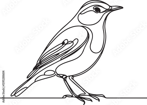 Detailed Line Drawing of Thrush Bird Art