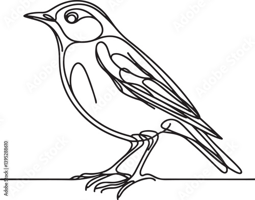 Detailed Line Drawing of Thrush Bird Art