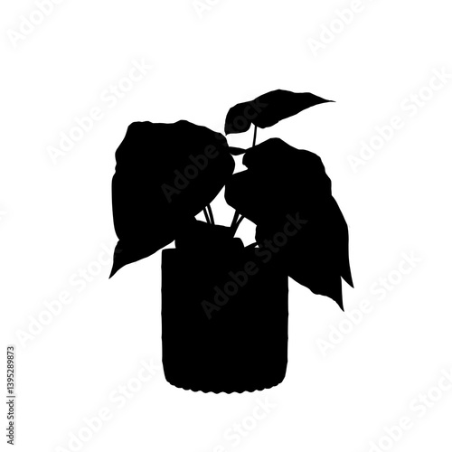 silhouette of a Plant