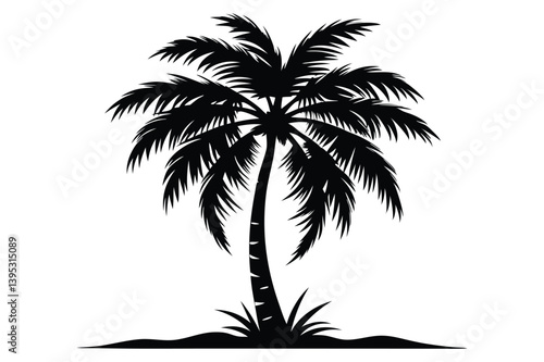 Silhouette of a Palm Tree with Dense Fronds Isolated 