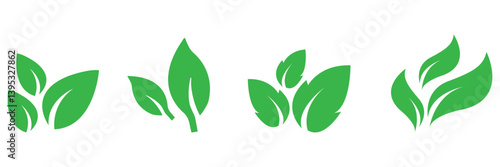Green leaf icon set. Fill Leaves icon. Collection of green leaf. Elements design for natural, eco. elements for ui, ux, web. vector design on isolated background eps 10.