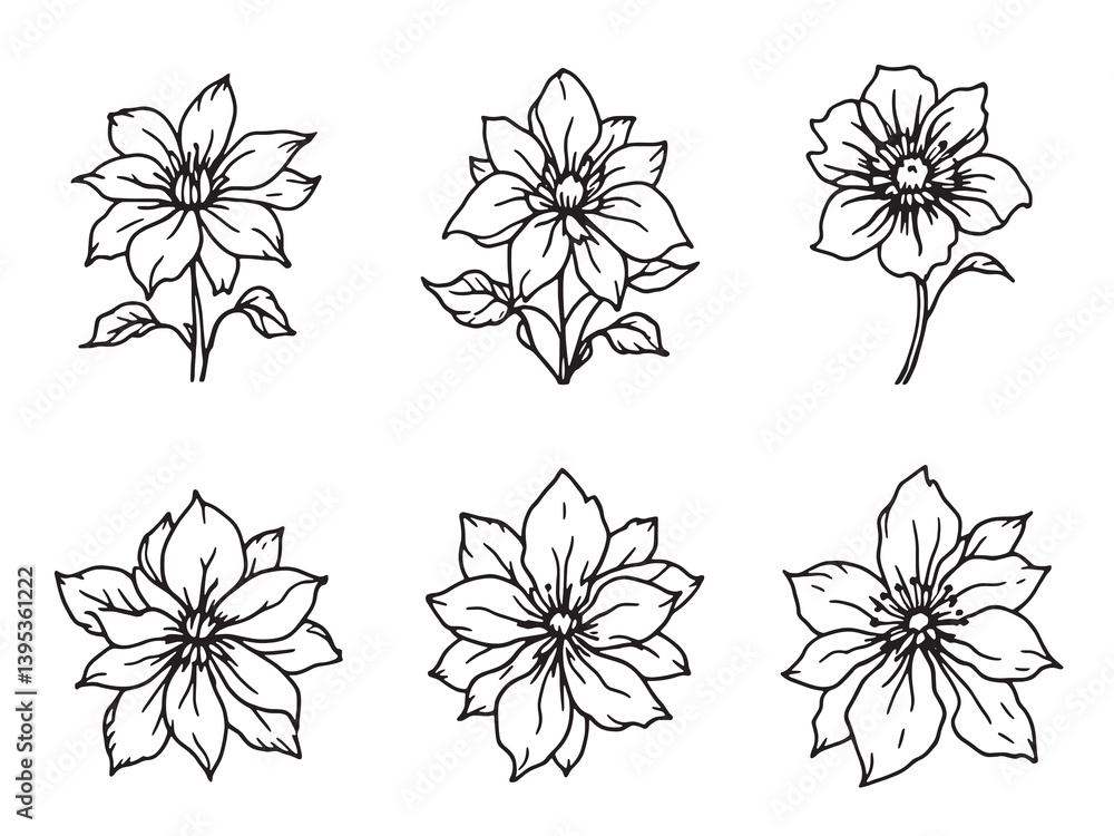 Obraz premium Clematis line art delicate petals blooming in soft graceful lines 