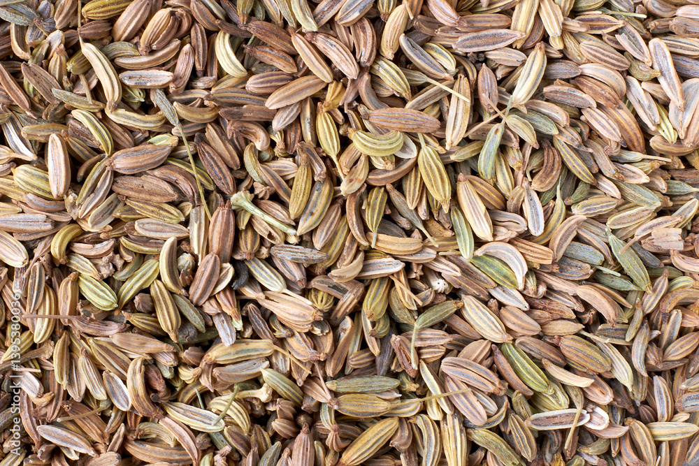 scattered fennel as a background for design. top view scattered fennel as a background for design. top view