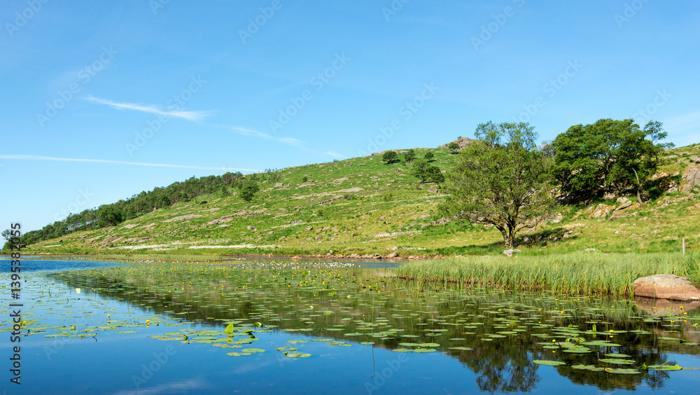 Peaceful Small Lake Landscape with Green Hills and Blue Sky at the Beginning of Dalsnuten Trail, Sandnes, Norway, June 2018 Peaceful Small Lake Landscape with Green Hills and Blue Sky at the Beginning of Dalsnuten Trail, Sandnes, Norway, June 2018