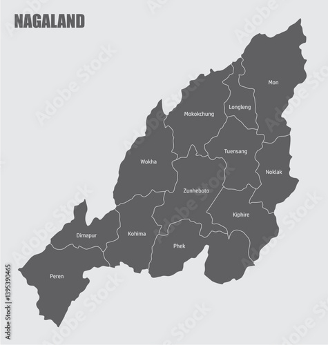 Obraz na płótnie Nagaland administrative map w salonie