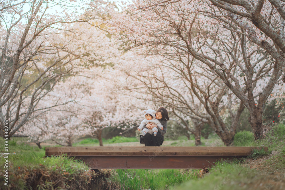 Obraz premium Happy asian toddler baby girl in cute bear outfit playing with mother on wooden bridge surrounded by sakura trees cherry blossoms with sunlight in springtime japan, Family Love Concept