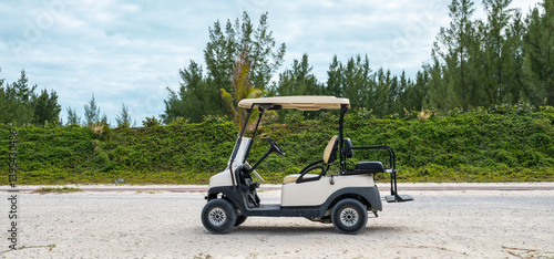 Obraz na płótnie Golf Cart Parked on the Street, Transportation on Bimini Island, Bahamas. w salonie