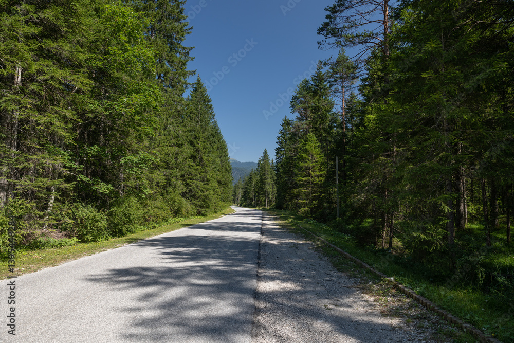 vista panoramica sulla strada della Val Saisera, nel Friuli Venezia Giulia nord-orientale, in Italia, circondata da alti ed antichi abeti verdi, di giorno, in estate