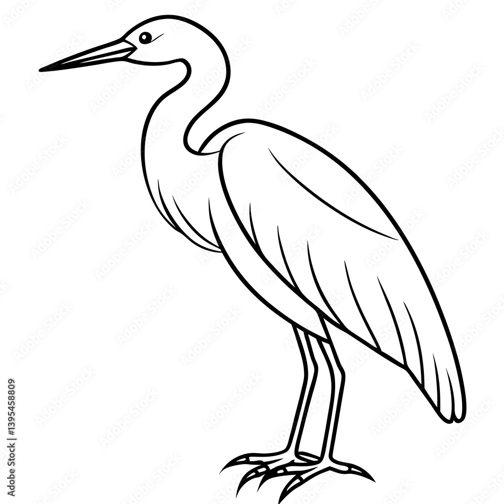 Obraz premium black swan vector illustration