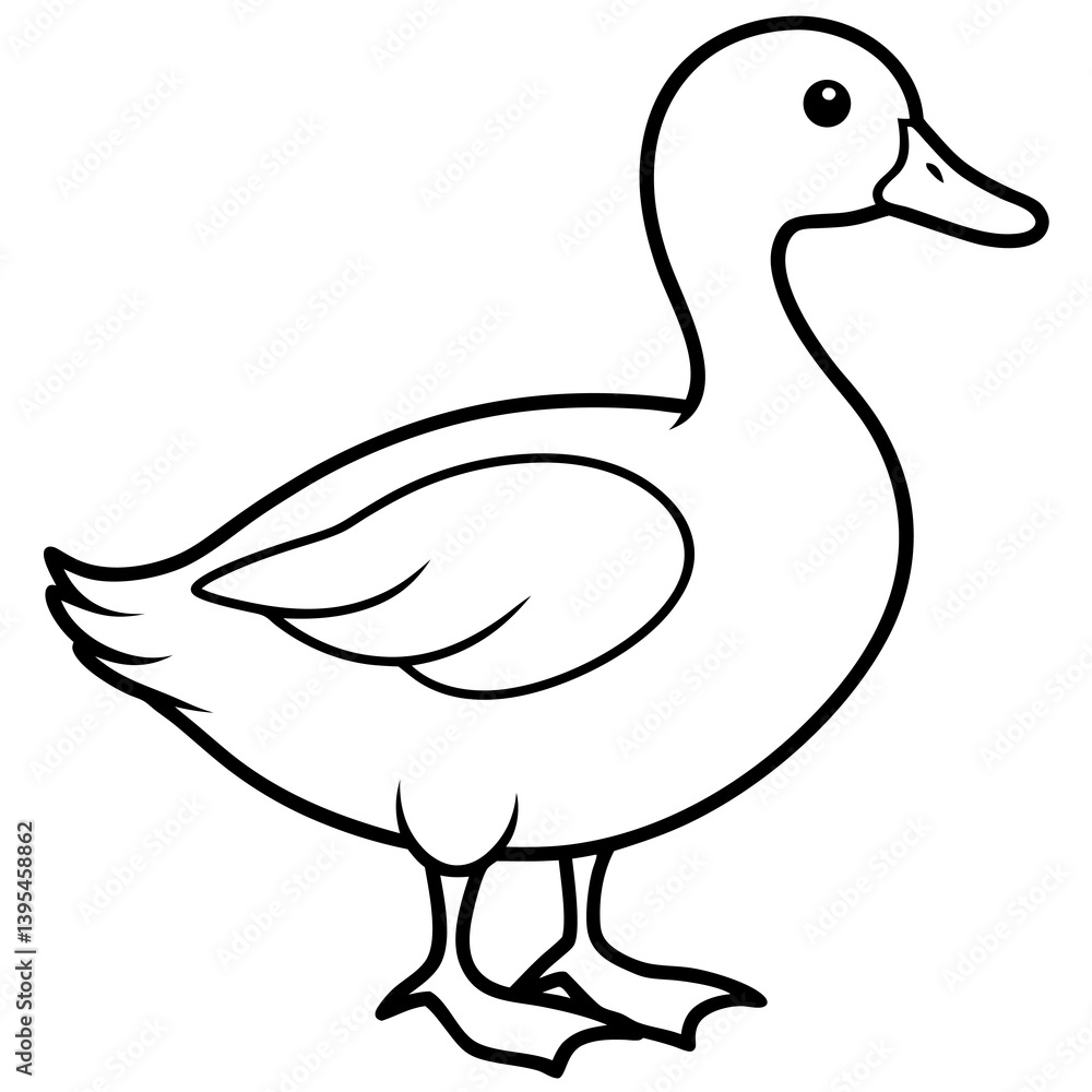 black swan vector illustration black swan vector illustration