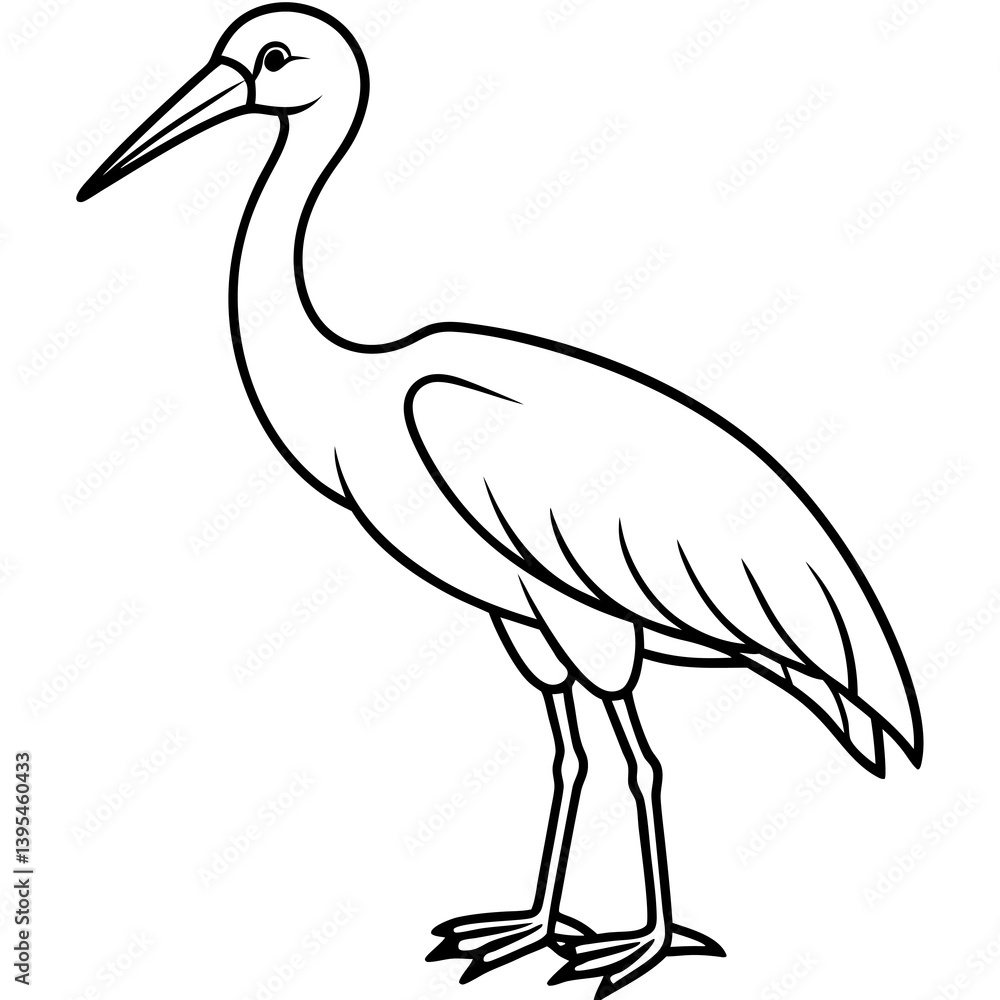 Fototapeta premium black swan vector illustration