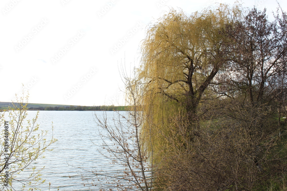 A bridge over water