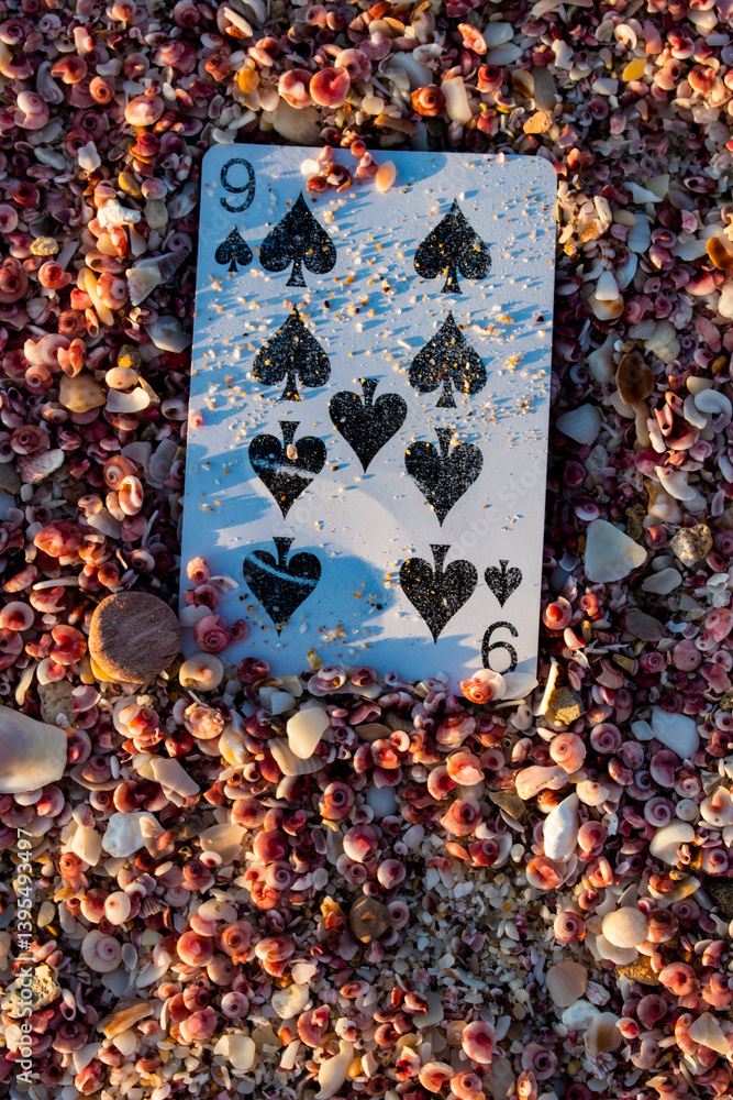 Poker or Blackjack cards, 9 of spades, a single playing card among small pink shells forgotten on a beach
