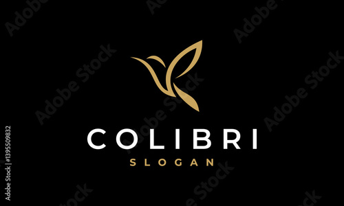 colibri logo vector icon illustration, hummingbird logo template