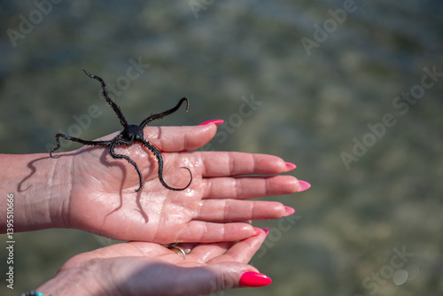 Obraz na płótnie Wężowidła - Brittle stars, denne zwierzęta morskie, o gwiaździstej budowie ciała podobnej do rozgwiazd. Osobnik na kobiecej dłoni, Ocean Indyjski, safari morskie, Kenia w salonie