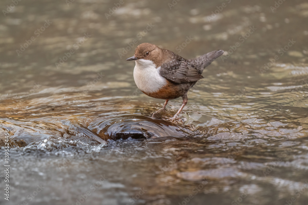 Fototapeta premium Generated image