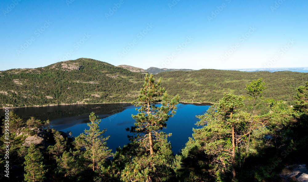 A View to Scenic Pine Forest With Mountain and Reflective Lake from a Hiking Trail to Preikestolen, Stavanger, Norway, July 2018