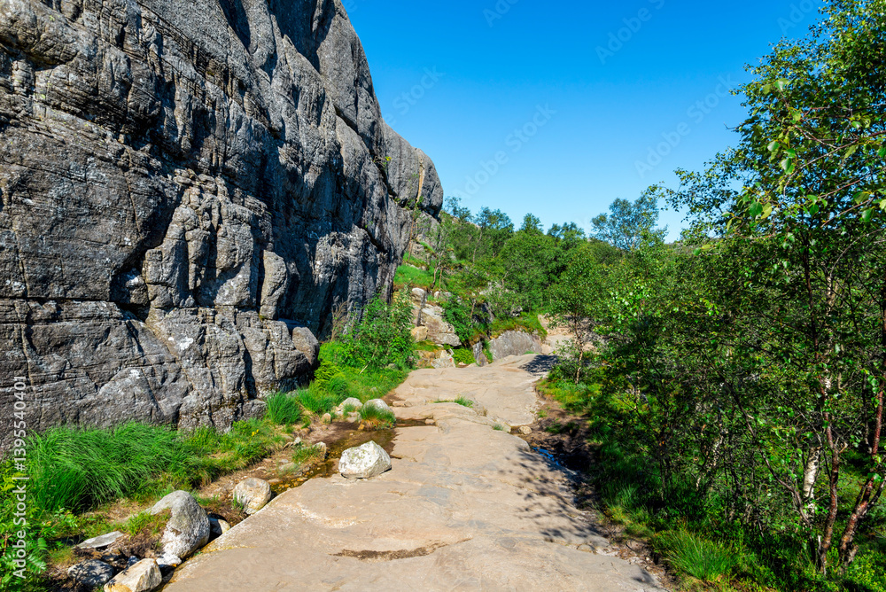 Scenic Forest Path Along a Cliffside on Preikestolen Hiking Trail, Stavanger, Norway, July 2018
