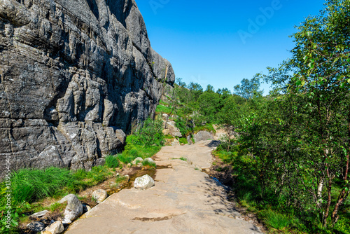 Obraz na płótnie Scenic Forest Path Along a Cliffside on Preikestolen Hiking Trail, Stavanger, Norway, July 2018 w salonie