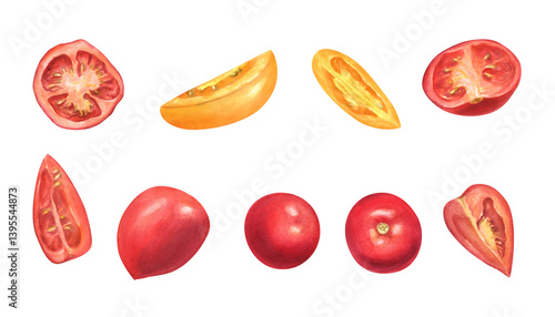 Wallpaper Mural Fresh red and yellow tomatoes watercolor illustration clip art isolated background. Whole, half and slices of garden summer vegetables. For farm to table designs, organic food branding, cookbooks. Torontodigital.ca