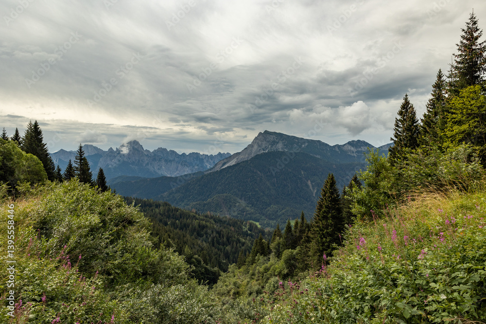 vista panoramica su un ambiente naturale di montagna tra le Alpi nel nord Italia, nella regione Friuli Venezia Giulia, di giorno, in estate, con cielo nuvoloso