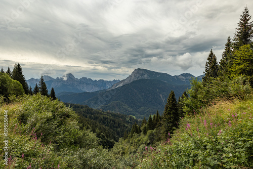 Obraz na płótnie vista panoramica su un ambiente naturale di montagna tra le Alpi nel nord Italia, nella regione Friuli Venezia Giulia, di giorno, in estate, con cielo nuvoloso w salonie