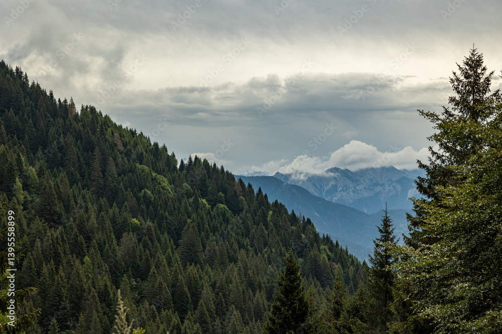 vista dettagliata su un ambiente naturale di montagna tra le Alpi nel nord Italia, nella regione Friuli Venezia Giulia, di giorno, in estate, con cielo nuvoloso
