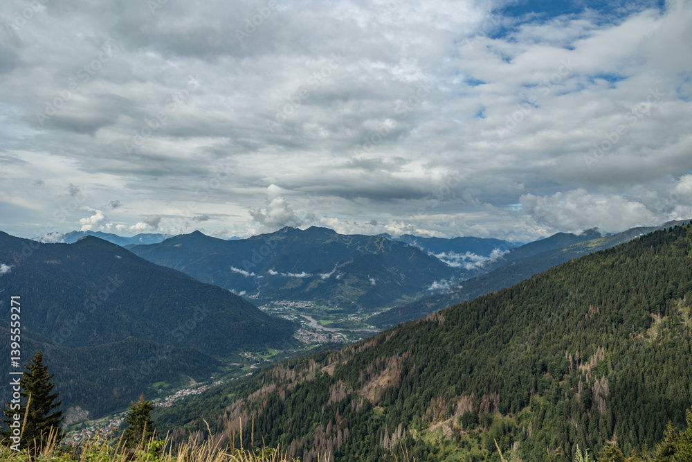 vista panoramica su un ambiente naturale di montagna tra le Alpi nel nord Italia, nella regione Friuli Venezia Giulia, di giorno, in estate, con cielo nuvoloso