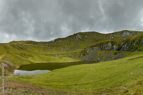 Obraz na płótnie panoramica sul Lago di Dimon nel suo ambiente naturale nel Friuli Venezia Giulia settentrionale, tra le cime delle montagne, circondato da verdi prati, di giorno, con cielo nuvoloso, in estate w salonie