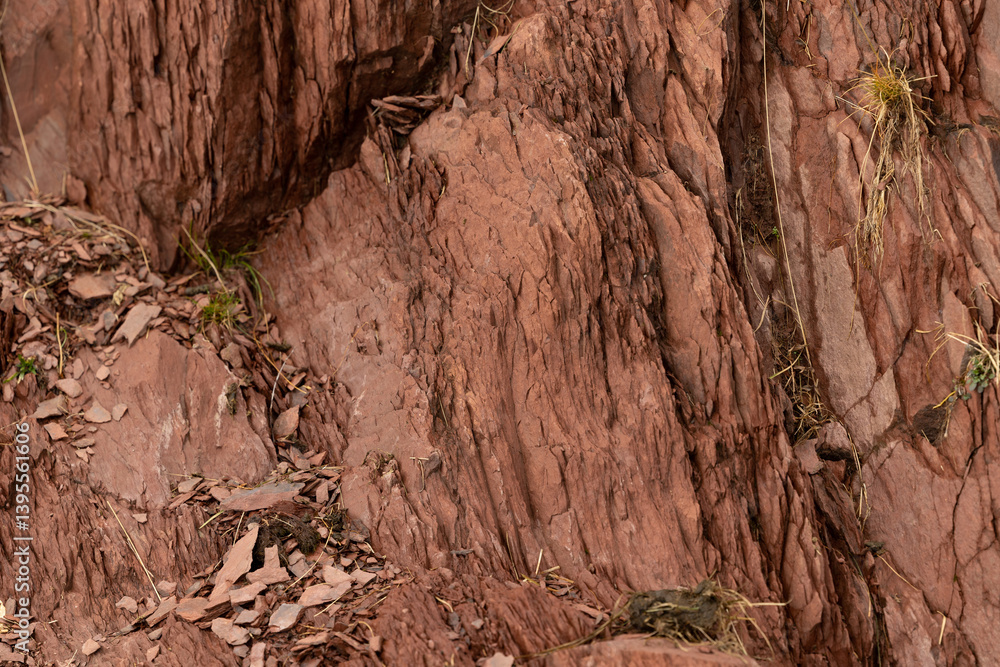 dettagli di un terreno roccioso dalle sfumature di colore tra il rosso ed il marrone
