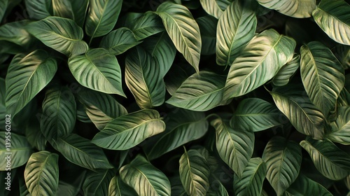 Wallpaper Mural Lush Green Leaves: A Botanical Symphony of Texture and Color Torontodigital.ca