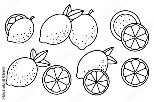  Lemon line art minimalist healthy fruit concept
