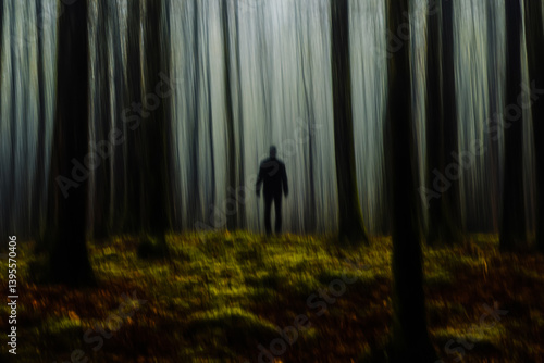 Dark forest silhouette man trees nature landscape fog mystery eerie spooky woodland scenery outdoors
