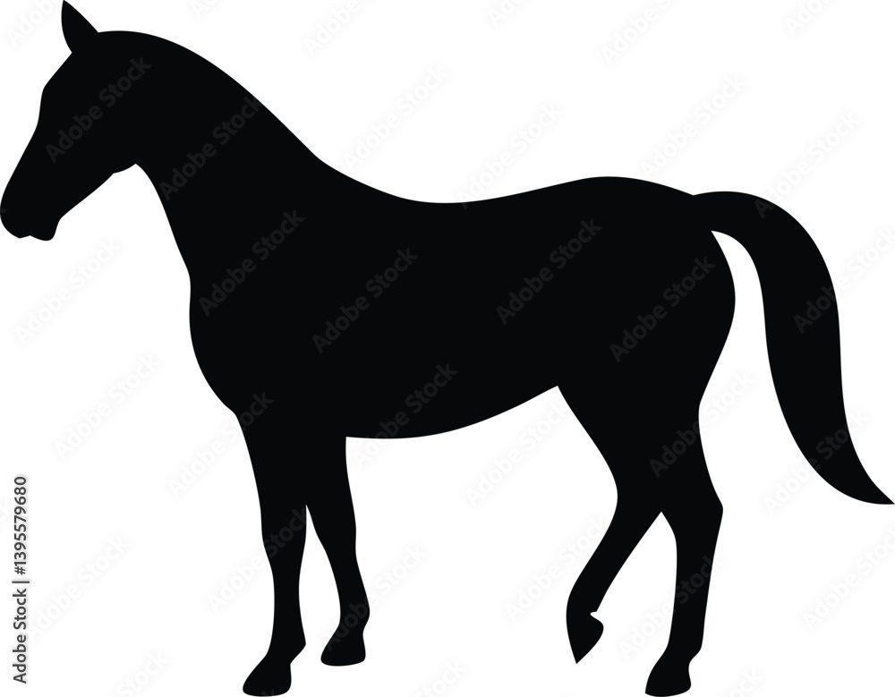 Obraz premium horse silhouette black colour with white background