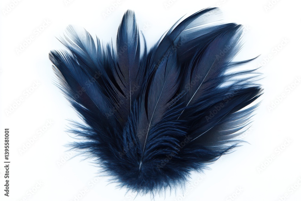Obraz premium Elegant Navy Blue Feathers Isolated on Crisp White Background for Soft, Top View Plumage Aesthetic