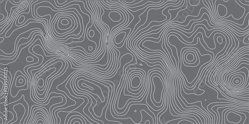 A Luxurious Abstract Representation of Topographic Line Art Featuring Elegant Wavy Contours Flowing Seamlessly Across a Deep Black Background for a Modern and Sophisticated Spatial Aesthetic