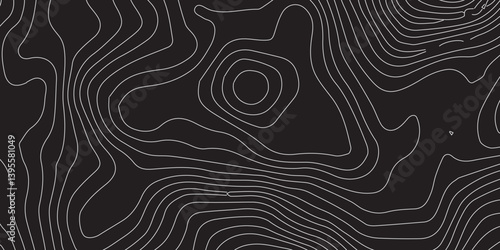 A Luxurious Abstract Representation of Topographic Line Art Featuring Elegant Wavy Contours Flowing Seamlessly Across a Deep Black Background for a Modern and Sophisticated Spatial Aesthetic
